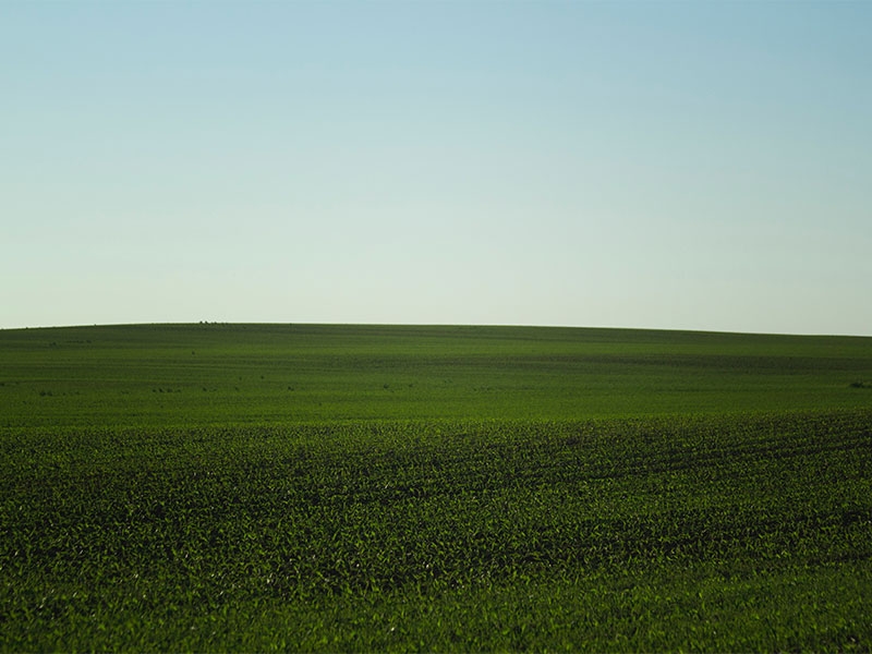 A daytime landscape photo of a green field, reminiscent of the default Windows XP wallpaper